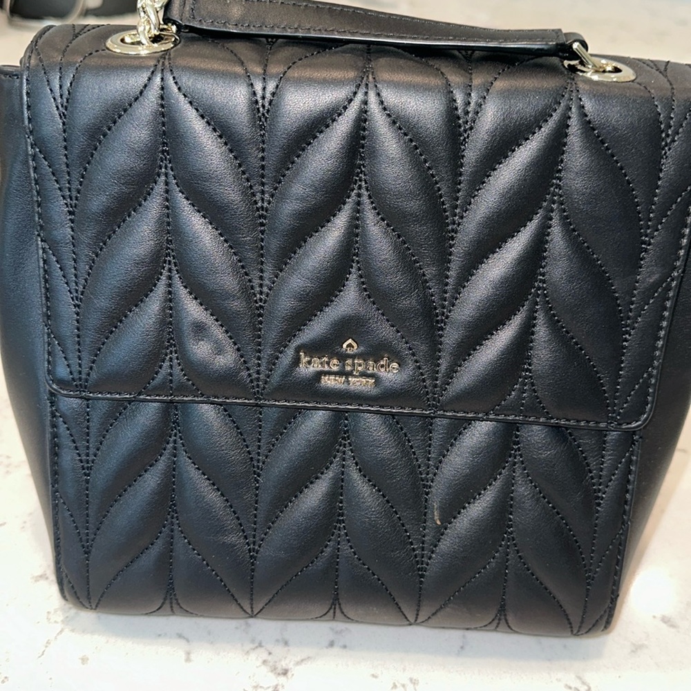 Kate Spade handbag (cross body or back pack).